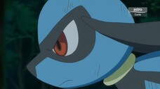 Pokemon Journeys Episode 21 Riolu Malay dub