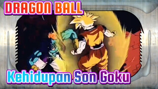 DRAGIN BALL| Kehidupan Son Goku