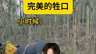 闹钟一响，你我皆是牛马！！！
