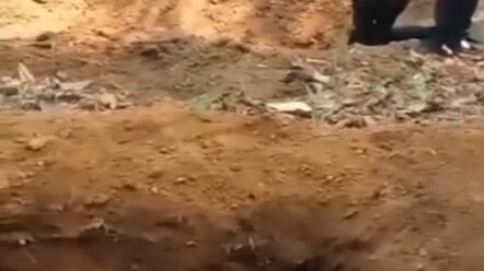 شاشة الحساب النهائي قبل الوفاة