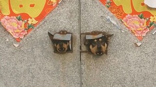 Anjing Bos