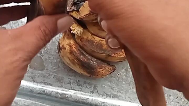 saging with cheeze🥰