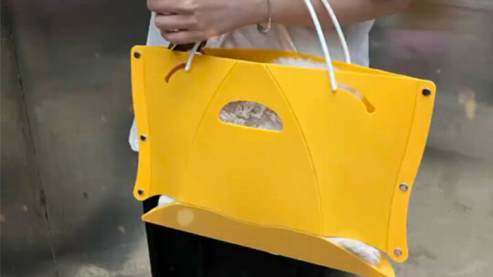 When my friend with low energy brings her go-to “life-saving” gadget out, she basically has me on lo