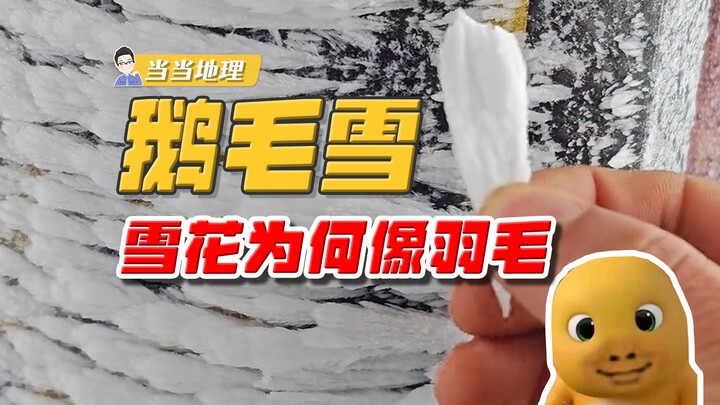 This isn’t a snowstorm—it’s literally raining geese! [Dangdang’s Geography]