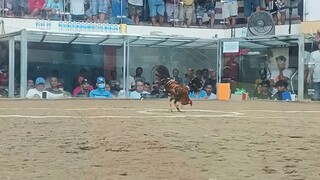 Texas cockpit arena.