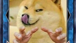 A dog who can take a knife without thinking