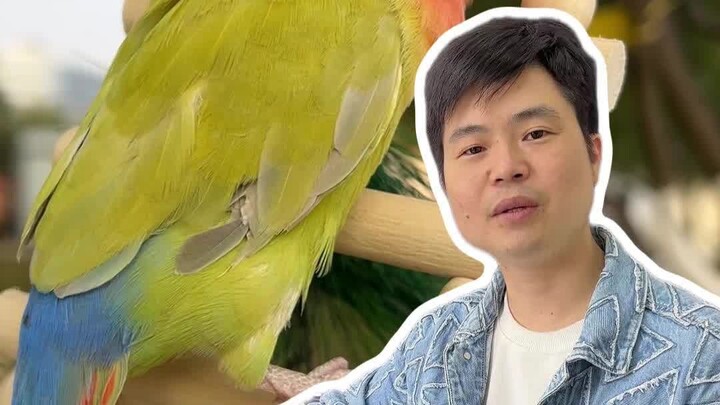 Yang paling ditakuti di rumah hewan peliharaan adalah kamu tahu