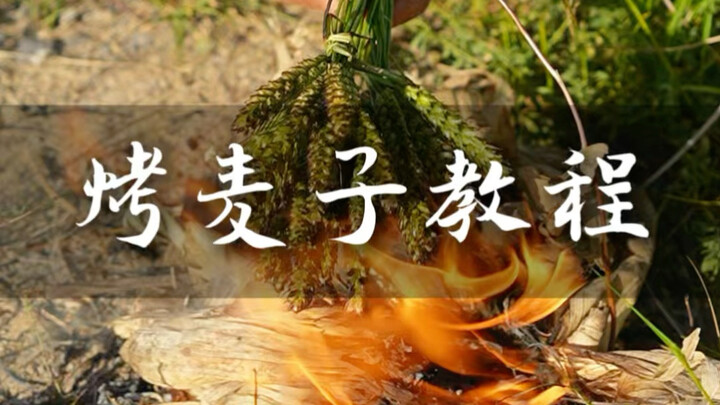 Roasted Wheat Tutorial