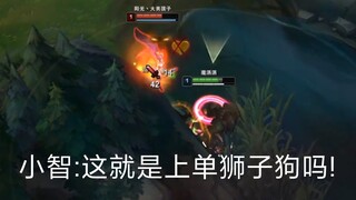 小智:这就是上单狮子狗吗!