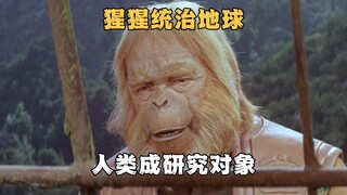 未来世界猩猩统治地球，人类反而成了被研究的对象《人猿星球》