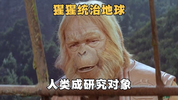 In the future, apes rule the earth, and humans become the subjects of research. Planet of the Apes