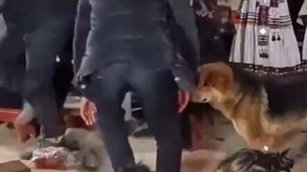 ยูนนานคุมได้แน่นอน
