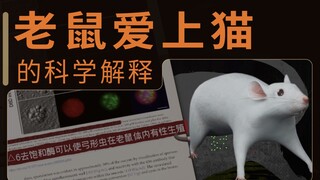 【严肃科普】关于老鼠爱上猫的科学研究