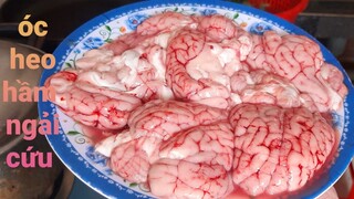 Óc Heo Hầm Ngải Cửu Món Ngon Đại Bổ | Biển Nguyễn ngọc.