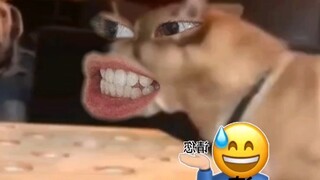 你能不能别喘气