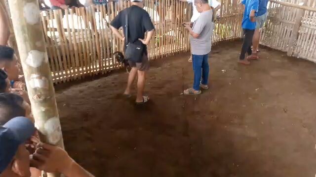 Straight Sweater Asete Line🐓