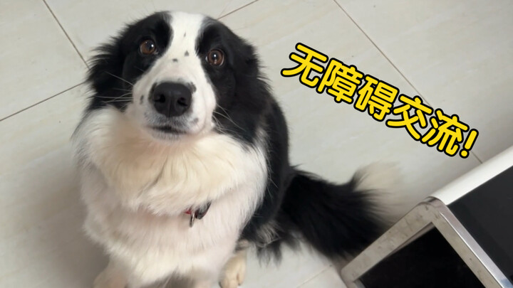 Voice-Controlled Dog Walker