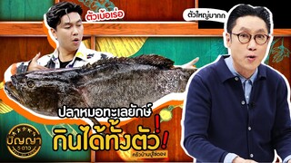 ปัญญา 5 ดาว | EP.85 ร้าน ครัวบ้านปูไข่ดอง กับเมนูหายากจาก ปลาหมอทะเลยักษ์ | 23 ก.ค.67