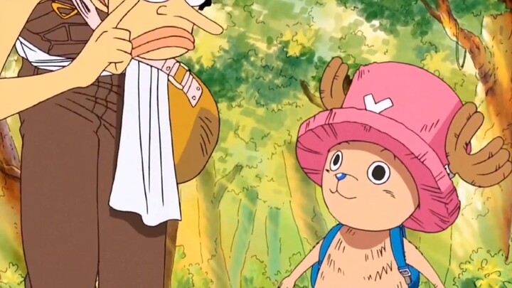 [The Straw Hat Crew’s Happy Hour] All members have lost their memory, but they still trust each othe