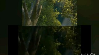 Tangled vs. A Mad Max Saga (2010-2030) Comparison | The Snuggly Duckling