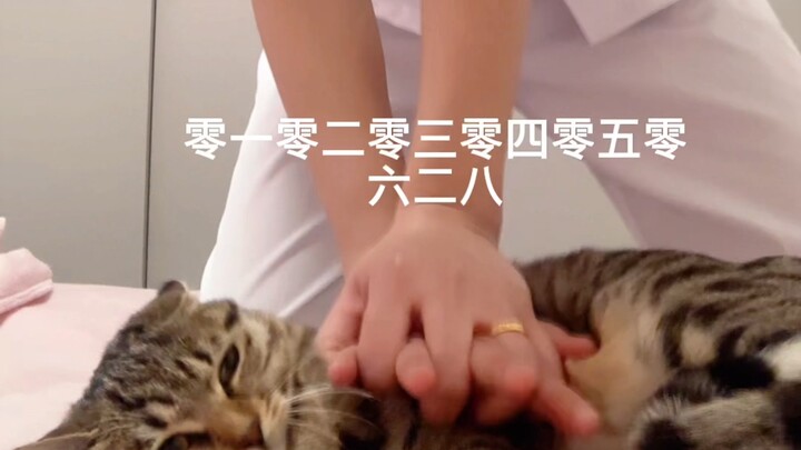 Uncle Zhang: Huh? Niece, you’re really here?!