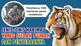 Jenis harimau yang sudah punah dan Penyebabnya - Hewan yang sudah punah dan Hewan Langka