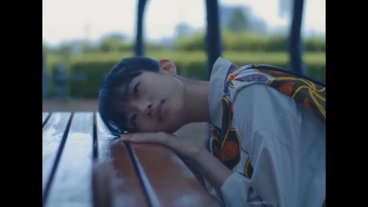 she-taught-me-serendipity-2025