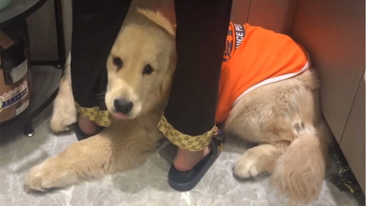 Tập hợp các đoạn ngắn của George