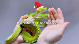 Little green pet snake for Christmas - Remix cut
