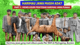 Part 1. Harimau Jawa Masih Ada: Menelusuri Penyebab Kepunahan Harimau Jawa