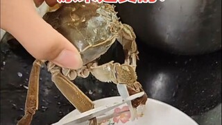 Tại sao khi cắt đứt một nửa chân cua, nửa còn lại sẽ tự động rụng đi?