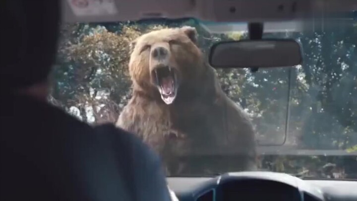 Treat animals kindly, and they will treat you kindly in return.