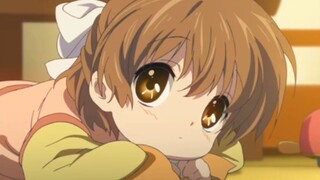 Who would reject the cute Xiao Xi?