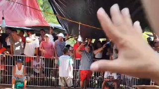 Ulutan Intat Gamefowls