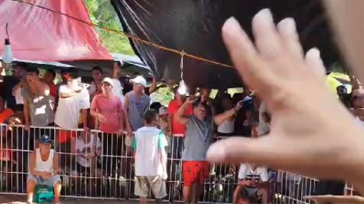 Ulutan Intat Gamefowls