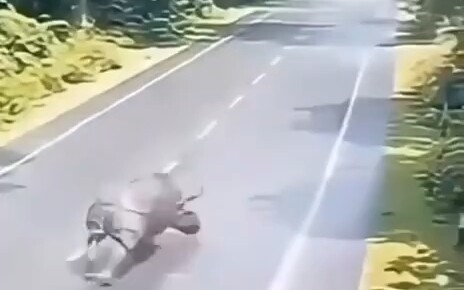 ความอัปยศแห่งชีวิตของแรด!