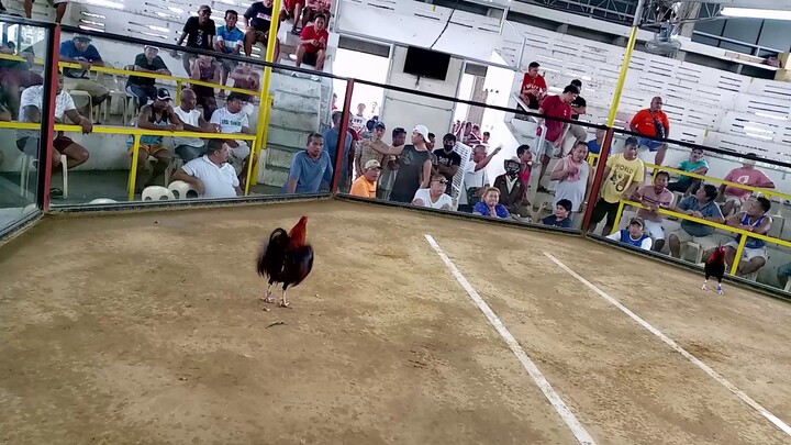 first fight,first win binitiwan nang naka itim 11-19-23