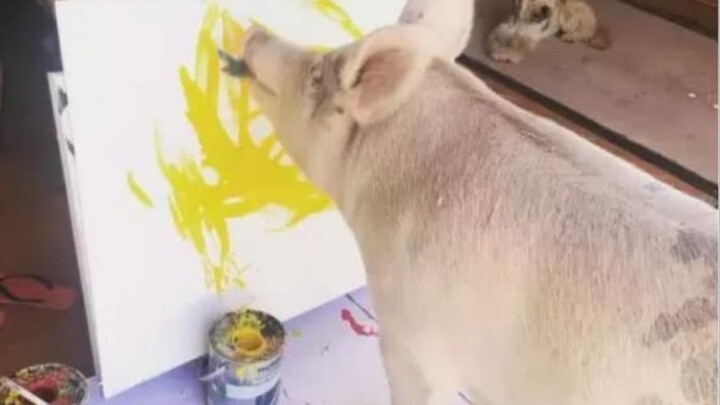 This is art?!