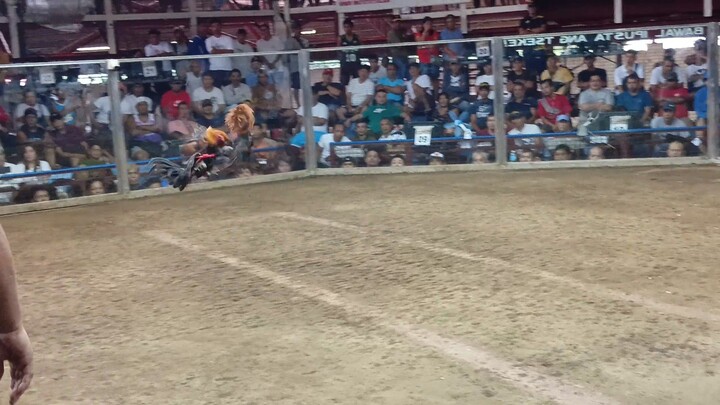 2ND FIGHT FIGBA ELIMINATION (DAY CHAMP)