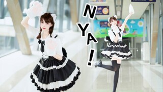 【Cocolo】谁家的小猫NyaNyaNya❤️