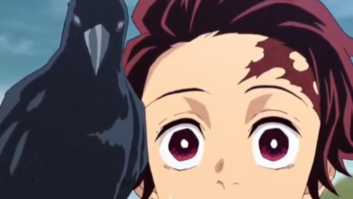 Every Kibutsuji crow in the Demon Slayer Corps is so adorable!