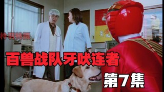 百兽战队：红狮记忆丢失，他有女朋友？