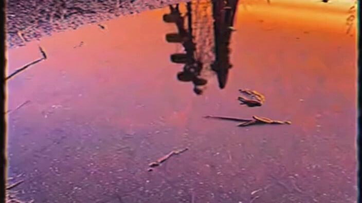 Abandoned Circus [Analog Horror - SORA]