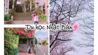 [NgocinTokyo]NGỌC ĐẾN TRƯỜNG. GIẢI ĐÁP THẮC MẮC VỀ DU HỌC NHẬT BẢN♡