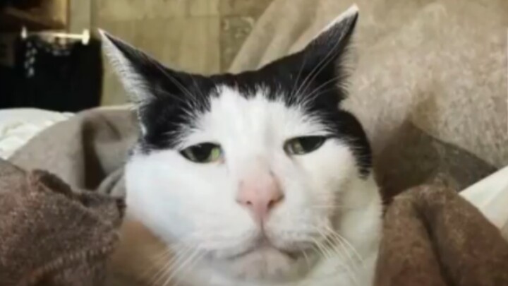 ???