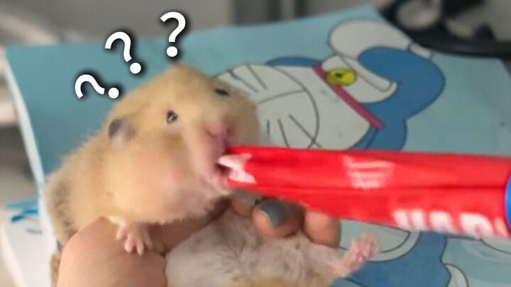 جوائز السلوك المربك للحيوانات 260