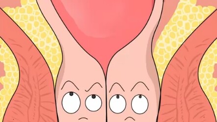 ฉันไม่ได้เห็นแอนิเมชั่นแบบนี้มานานแล้ว