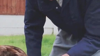 ก่อนที่เจ้าหมาเบลีย์จะจากไป คุณตาอัลเบิร์ต เพื่อนบ้านผู้รักมันมาก ก็มาพบมันเป็นครั้งสุดท้าย