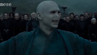 【Harry Potter】Voldemort's silly smile in 13 languages