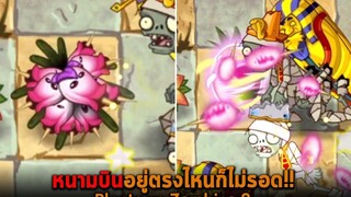 หนามบินอยู่ตรงไหนก็ไม่รอด Plants vs Zombies 2